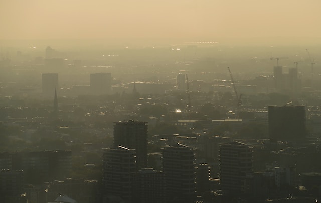 Which type of pollution includes CFCs and smog?