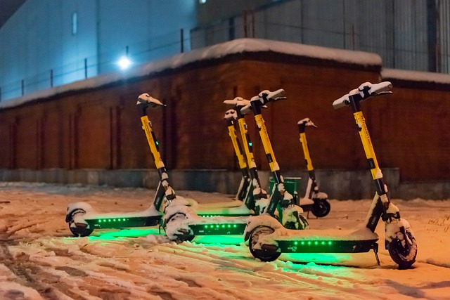 Snow Scooter
