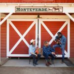Barn Sheds: A Practical Guide to Choosing the Right Storage Solution for Your Property